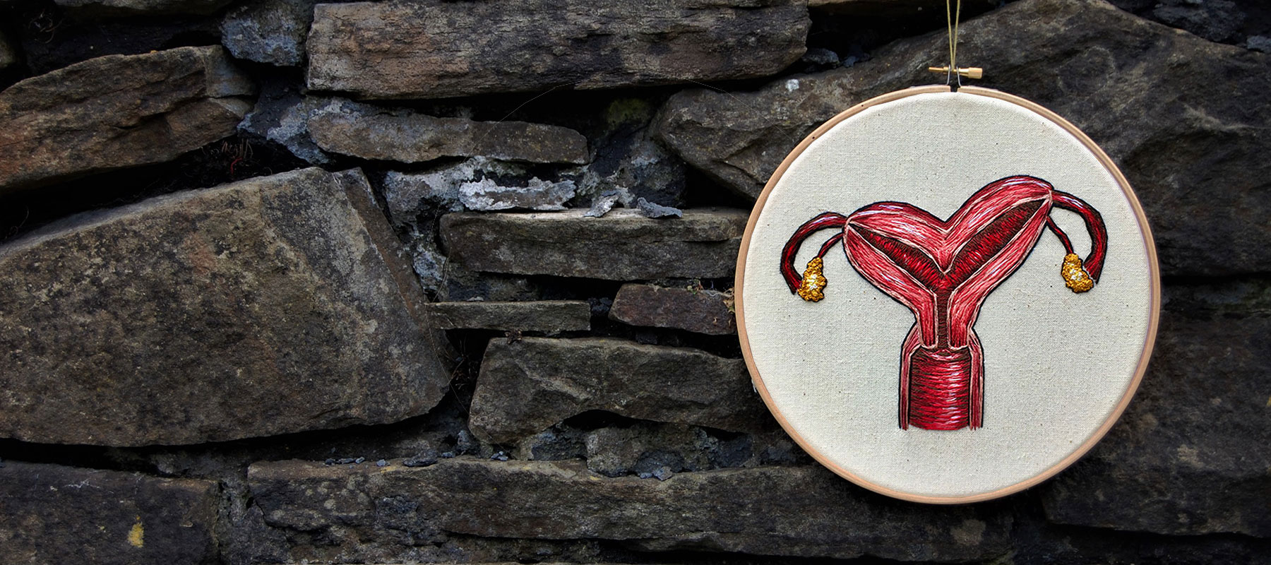 Cath Janes is an award winning medical anatomy illustrator using embroidery to create a biocornuate uterus