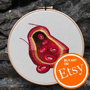 Anatomically represented blood vessel embroidery art by Cath Janes