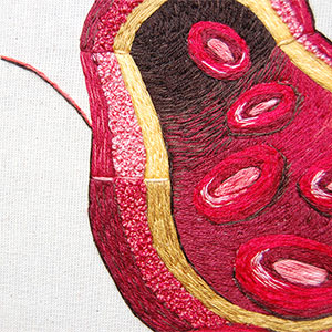  Hand embroidered anatomical art of the blood vessel by Cath Janes