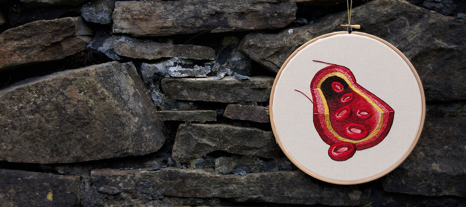 Blood vessel by medical anatomy illustrator Cath Janes using embroidery as a medium