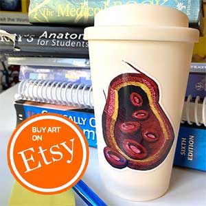  Hand embroidered anatomical art of the blood vessel by Cath Janes