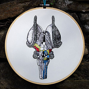 Anatomical brain stem embroidery art by Cath Janes