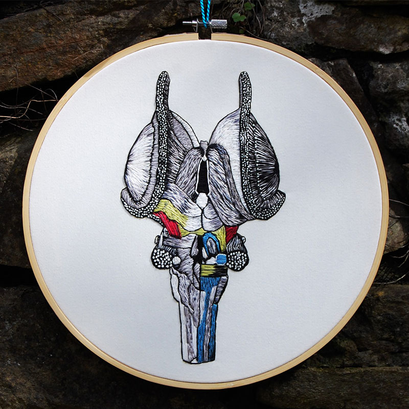 Embroidered hoop of the brain stem by Cath Janes