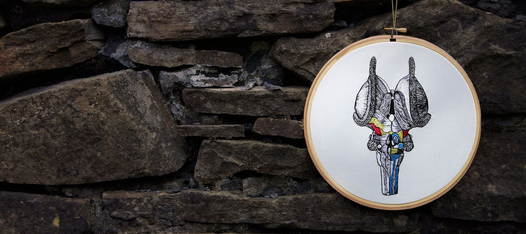 Medical anatomy illustrator Cath Janes uses embroidery as a medium
