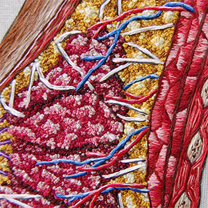  Hand embroidered anatomical art by Cath Janes