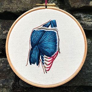 Anatomical chest anatomy embroidery by Cath Janes