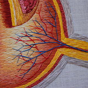  Hand embroidered anatomical art by Cath Janes
