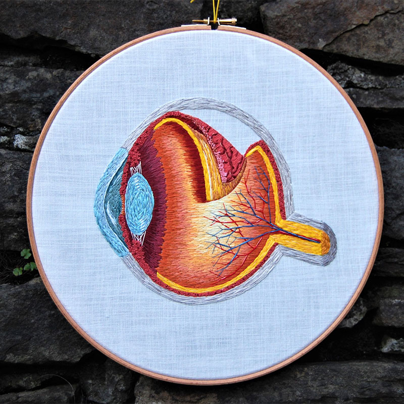 Embroidered hoop of the eyeball by Cath Janes
