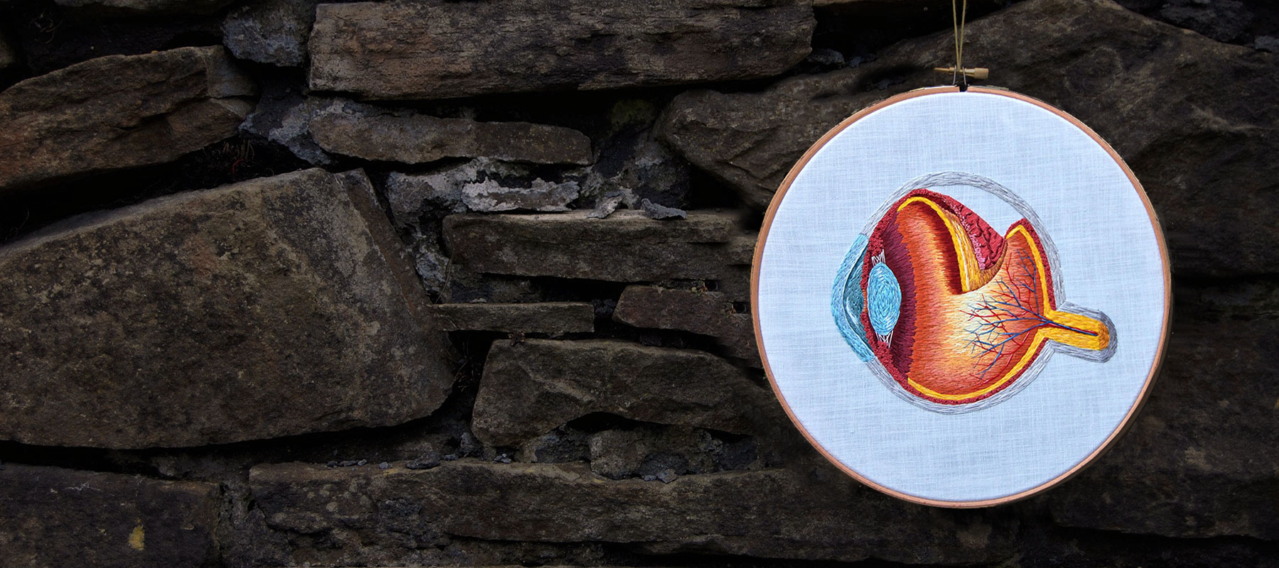 Cath Janes is an award winning medical anatomy illustrator using embroidery as a medium