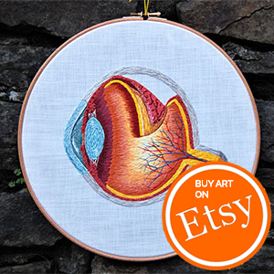 Eyeball anatomy embroidered by Cath Janes 