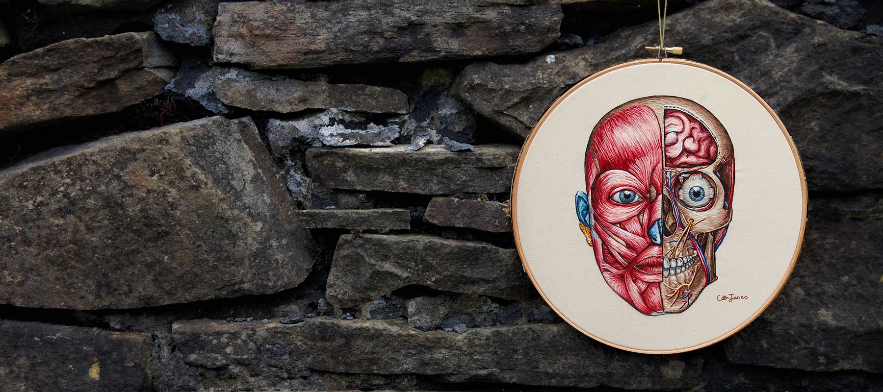 Cath Janes is an award winning medical anatomy illustrator using embroidery to create full facial anatomy
