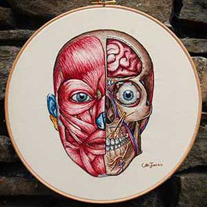 Anatomy of the facial muscles and bone structure of the face embroidered by Cath Janes