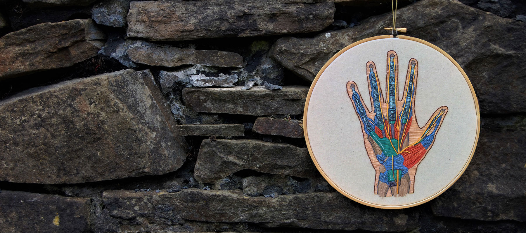 Anatomy of the human hand by medical anatomical illustrator Cath Janes using embroidery as a medium