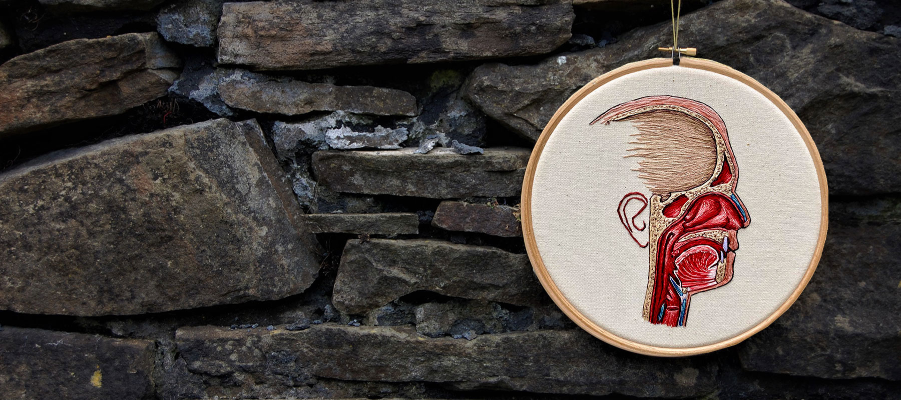 Anatomy of the human hand by medical anatomical illustrator Cath Janes using embroidery as a medium