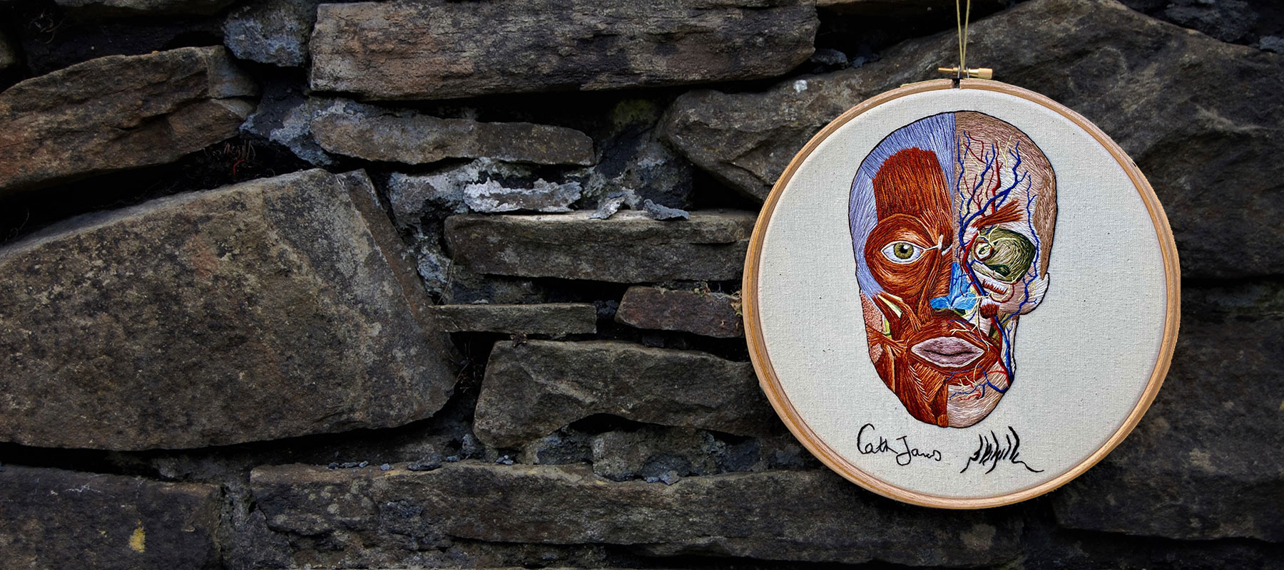 Anatomy of the human head with muscles by medical anatomical illustrator Cath Janes using embroidery as a medium