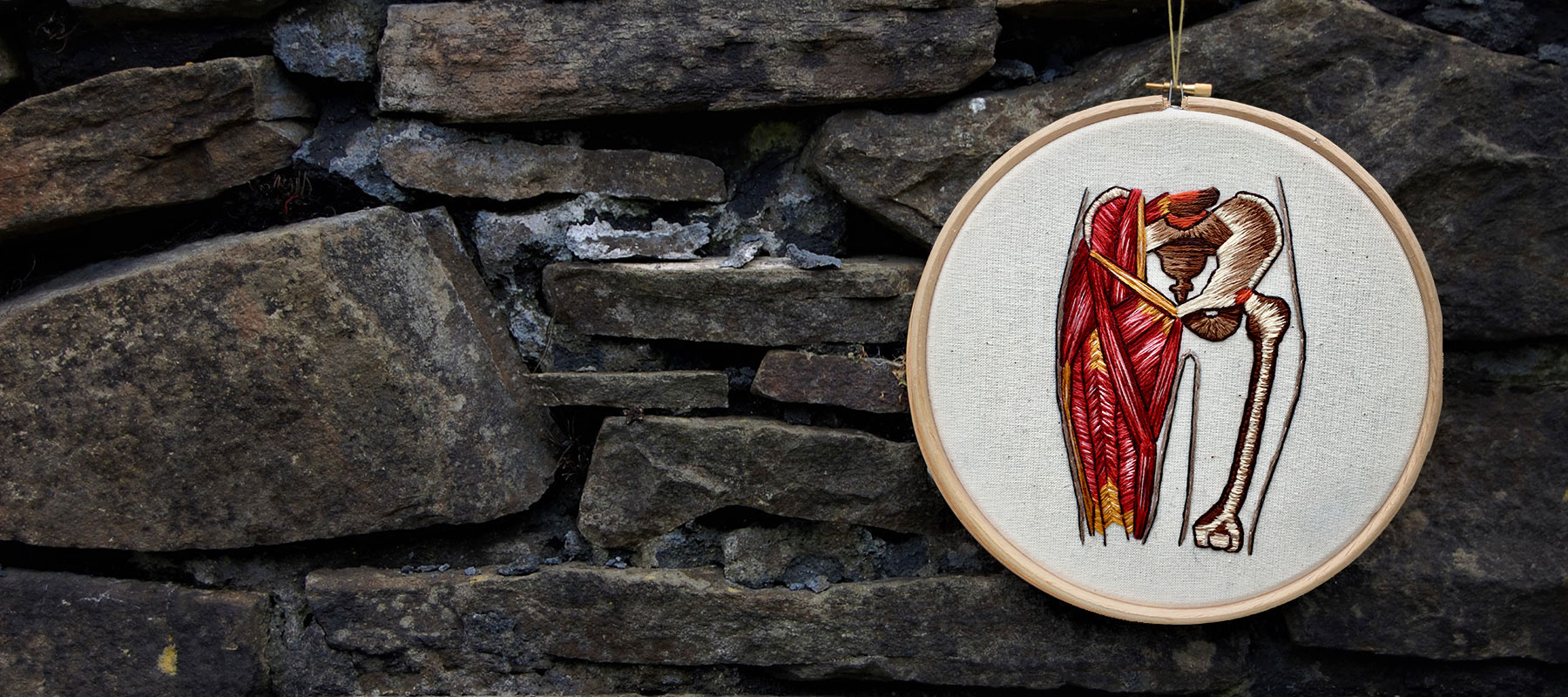 The human hip by medical anatomy illustrator Cath Janes using embroidery as a medium