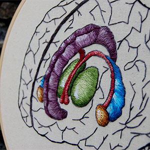 embroidered anatomical art by Cath Janes