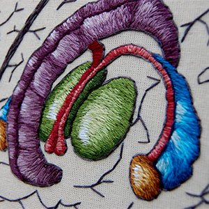 embroidered anatomical art by Cath Janes