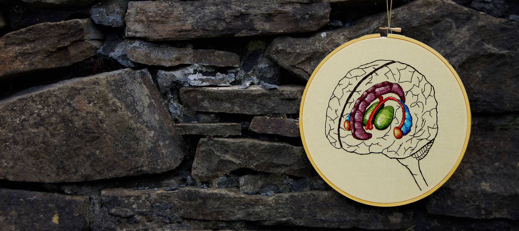 The hippocampus by medical anatomy illustrator Cath Janes using embroidery as a medium