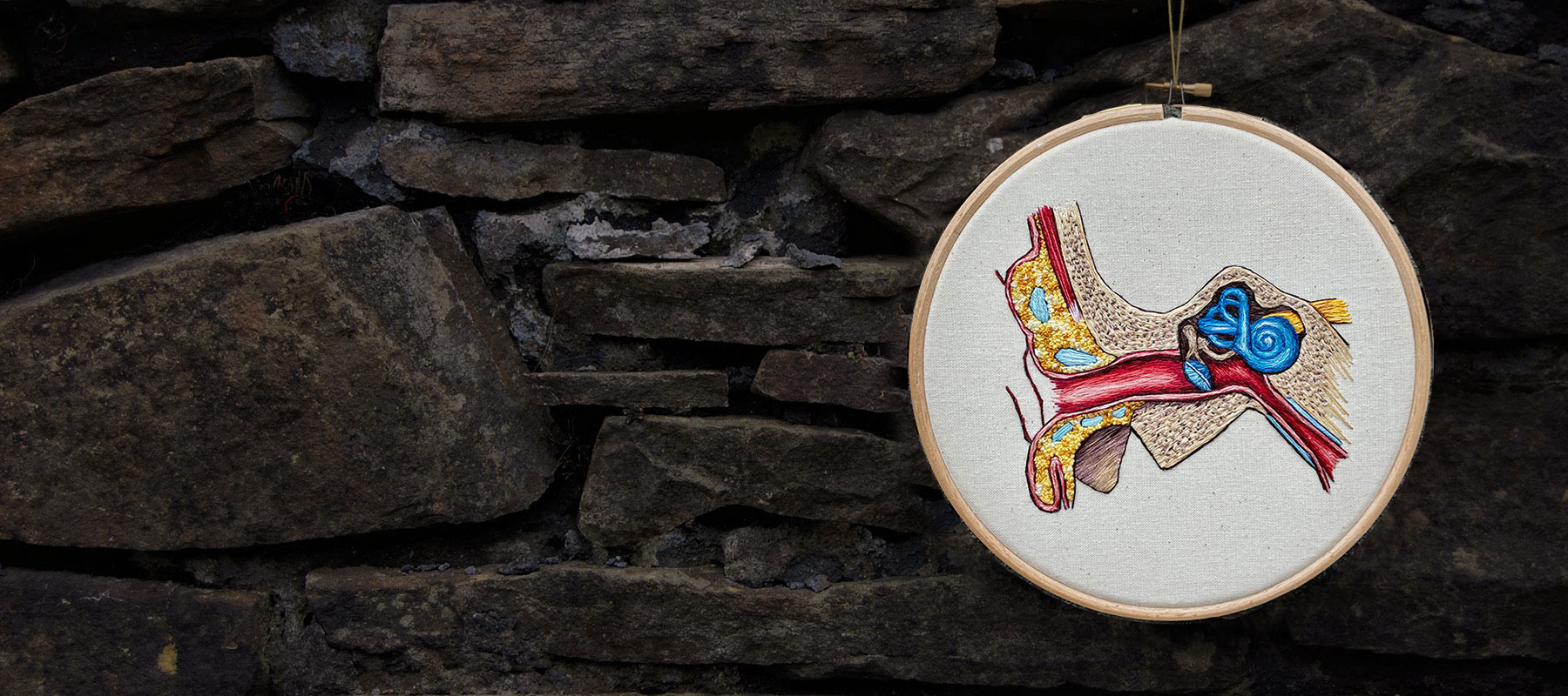 Cath Janes is an award winning medical anatomy illustrator using embroidery as a medium
