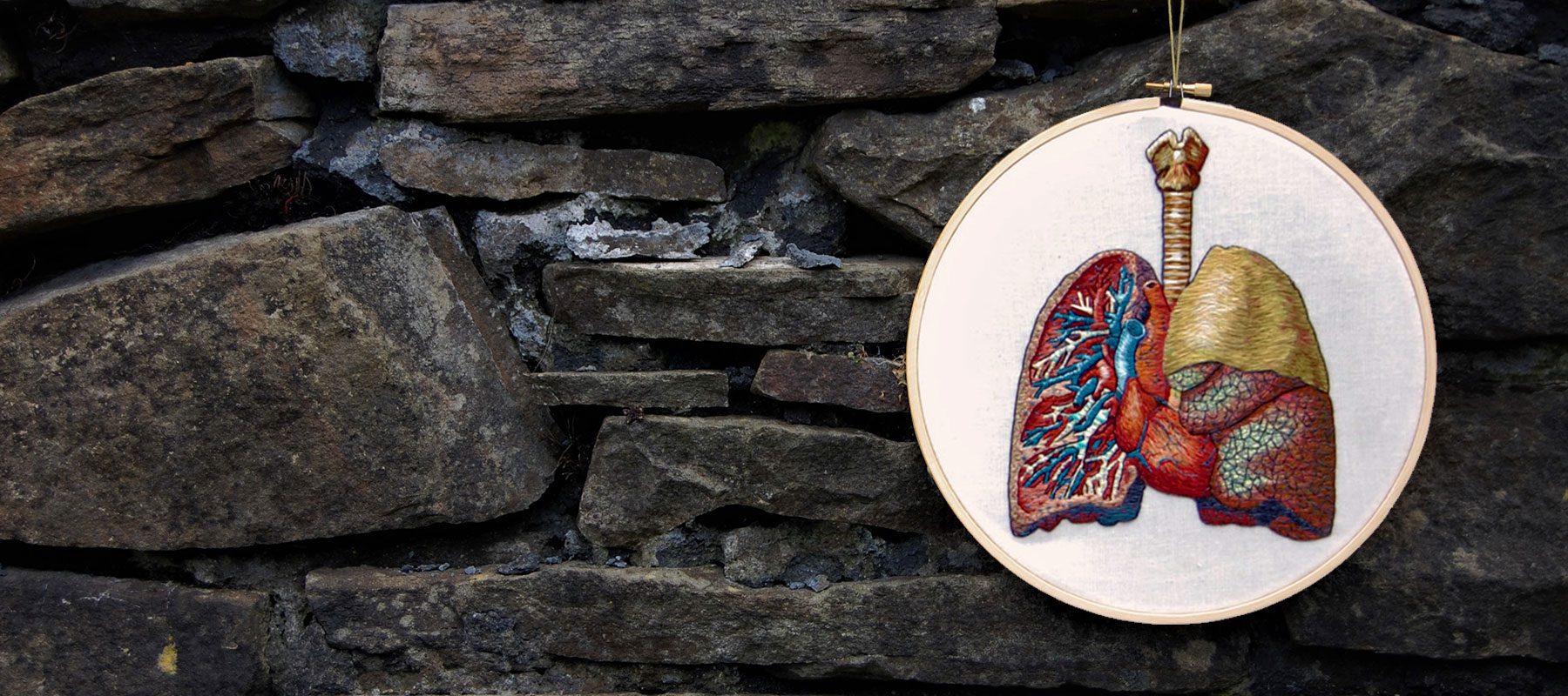 Cath Janes is an award winning medical anatomy illustrator using embroidery as a medium
