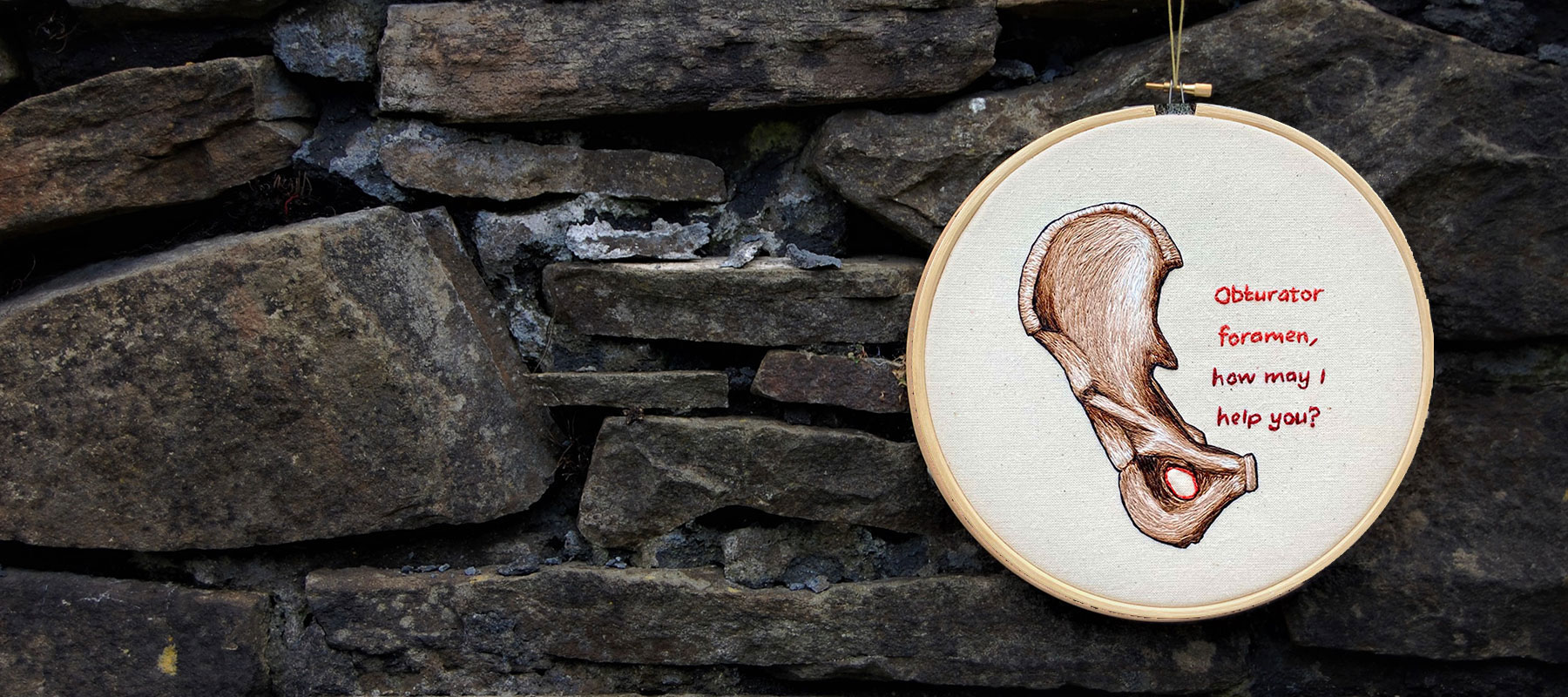Obturator Foramen by medical anatomy illustrator Cath Janes using embroidery as a medium