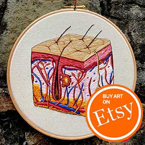 Anatomy of the skin  - an embroidered hoop by Cath Janes 