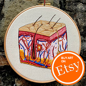  Hand embroidered anatomical art by Cath Janes