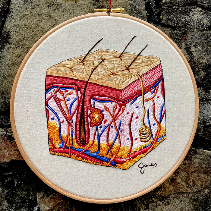 Embroidered hoop of the skin by Cath Janes