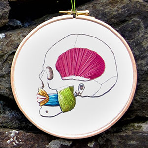 Skull anatomy embroidery by Cath Janes