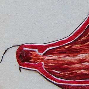  Hand embroidered anatomical art by Cath Janes
