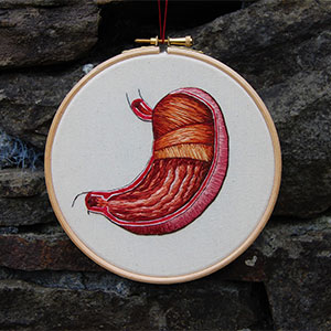 Anatomical stomach anatomy embroidery by Cath Janes