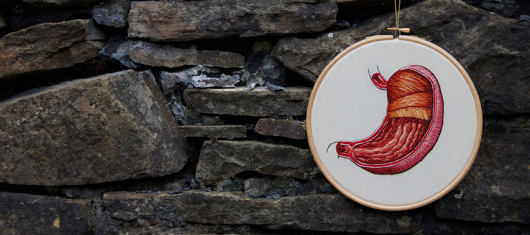 The stomach.  Stitched in silk by medical anatomy artist Cath Janes using embroidery as a medium