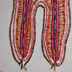  Embroidered anatomical hoop by Cath Janes