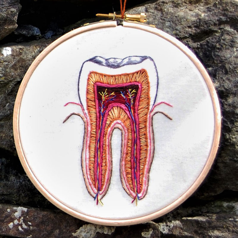 Embroidered hoop of the tooth by Cath Janes