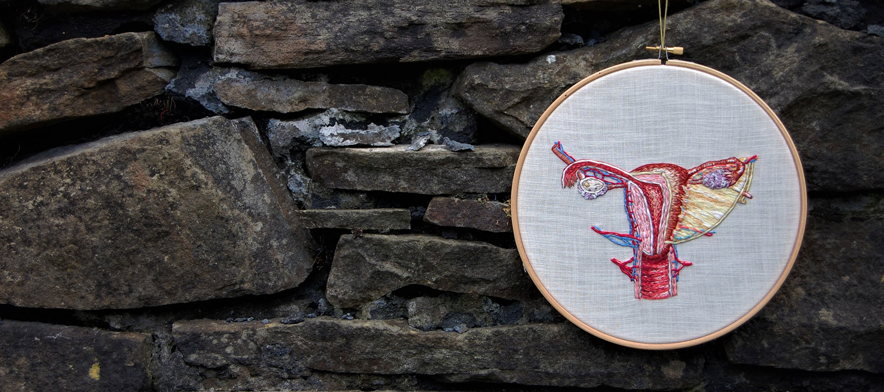 Cath Janes is an award winning medical anatomy illustrator using embroidery as a medium
