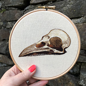 bird skull anatomy embroidery by Cath Janes