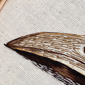 embroidered anatomical art by Cath Janes