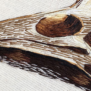 embroidered anatomical art by Cath Janes