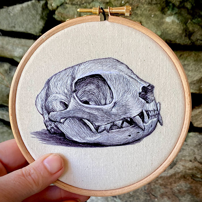 Embroidered hoop of a cat's skull by Cath Janes