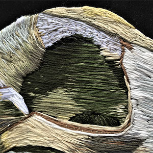 embroidered anatomical art by Cath Janes