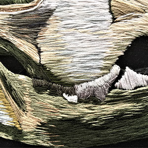 embroidered anatomical art by Cath Janes