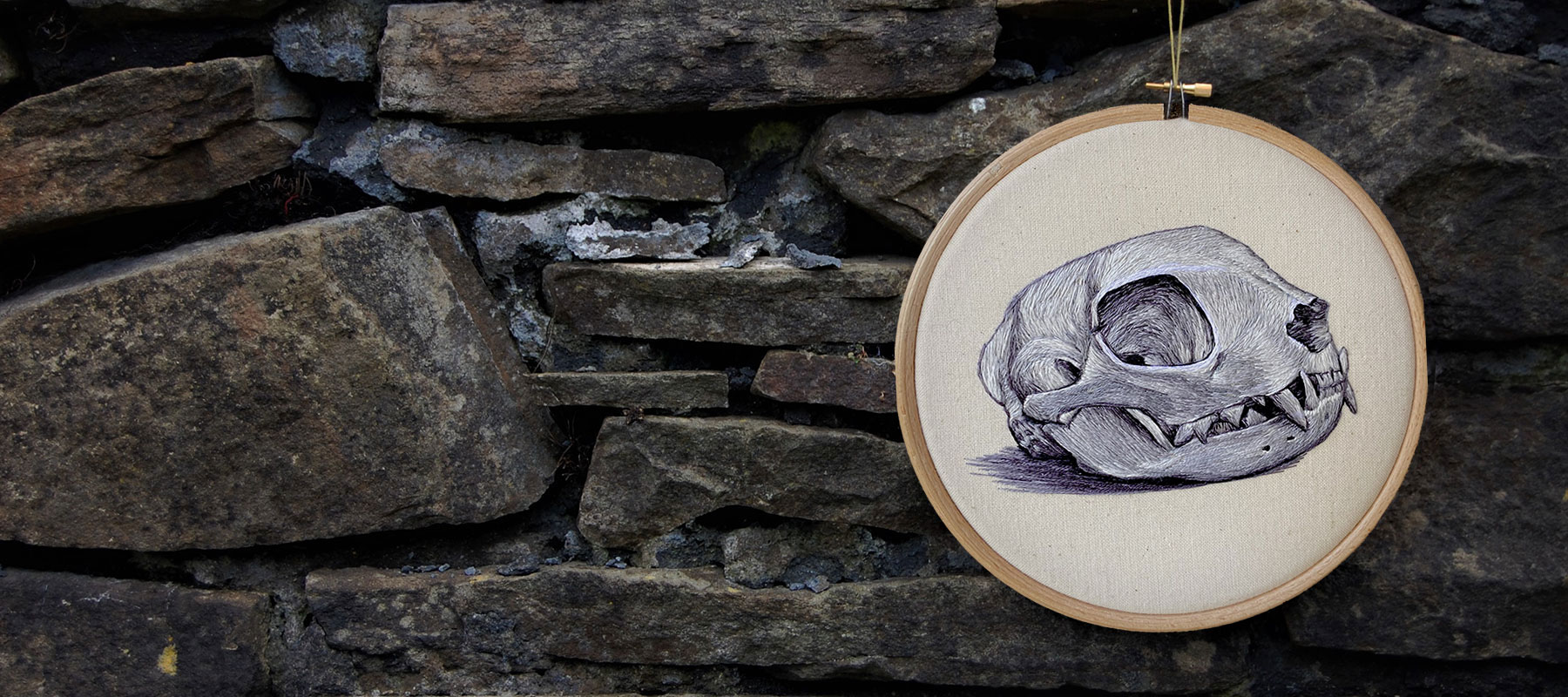 Cross section of the cat skull by medical anatomy illustrator Cath Janes using embroidery as a medium
