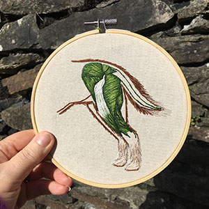 dog hip anatomy embroidery by Cath Janes