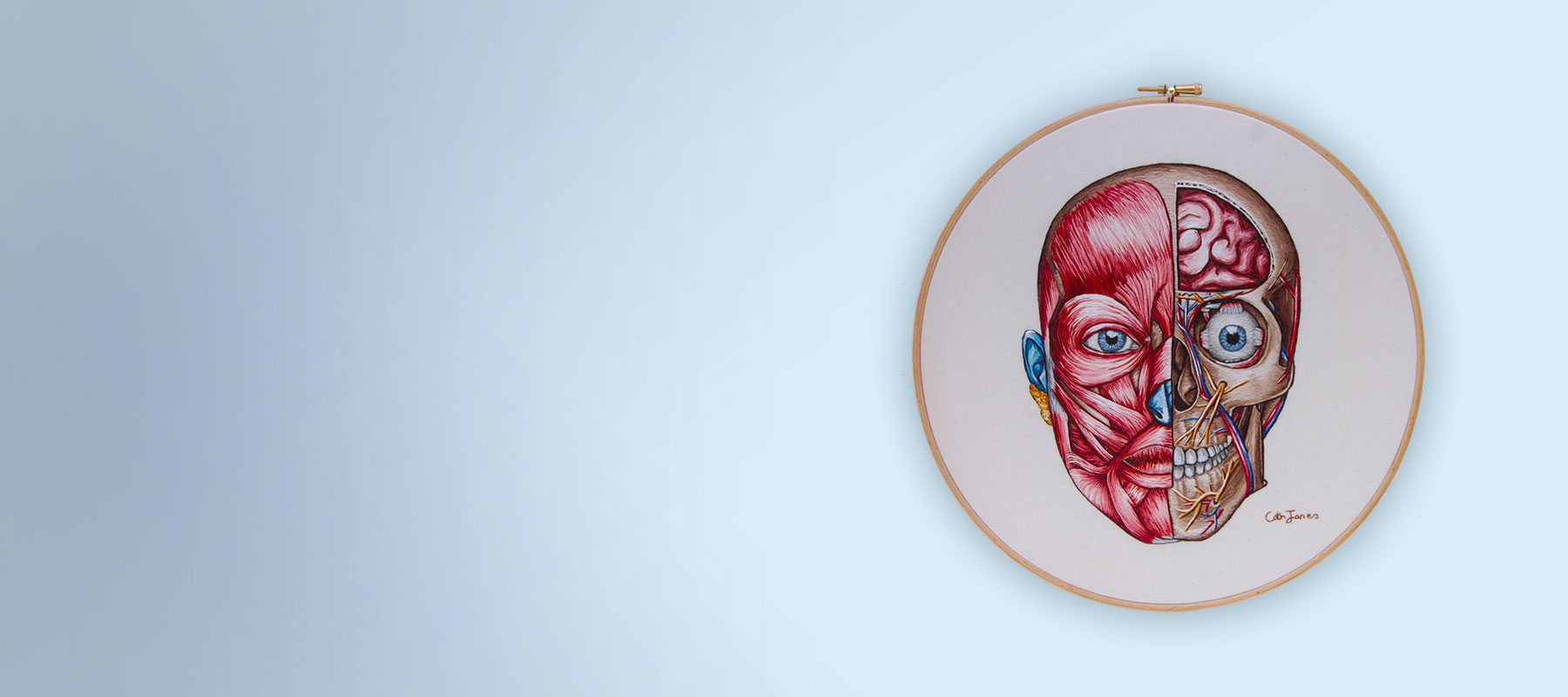 Cath Janes is an award winning medical anatomy artist using hand embroidery as a medium