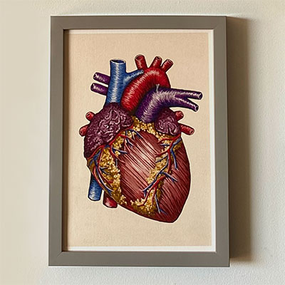 Anatomical print of (an embroidered) human heart